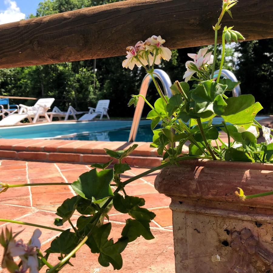 Villa Magda Todi Esterno foto