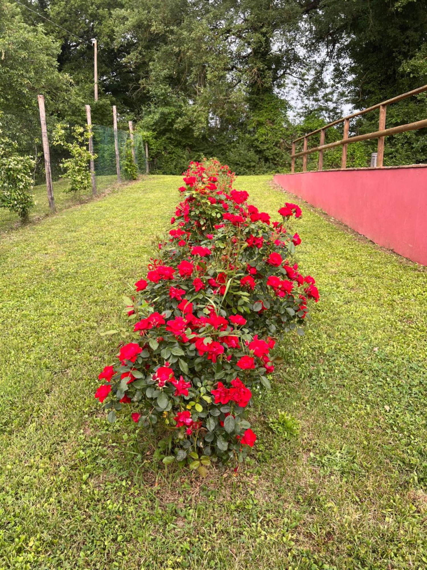 Villa Magda Todi Esterno foto